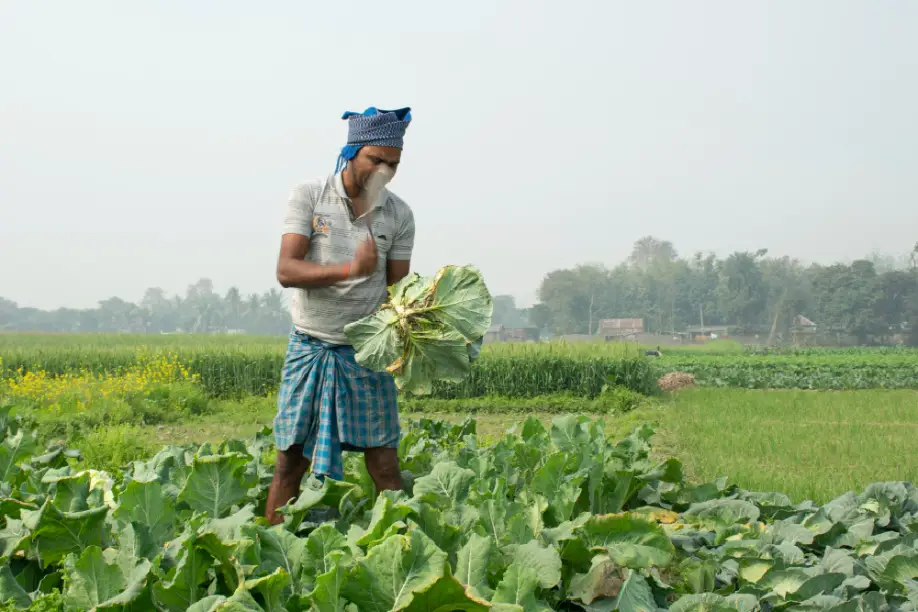 Tharakans Properties